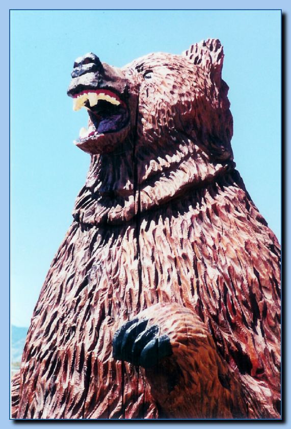 2-03 bear-archive-0003
